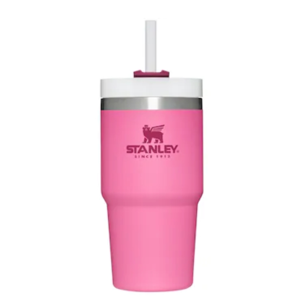 Stanley Adventure Quencher Travel Tumbler 20 ounce